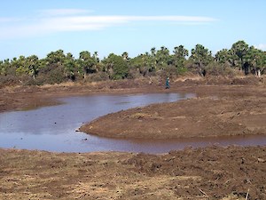 Bushy Point pond excavation 2006