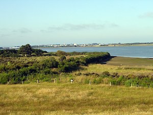 Estuary view from Bushy Point