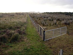 Bushy Point fencelines